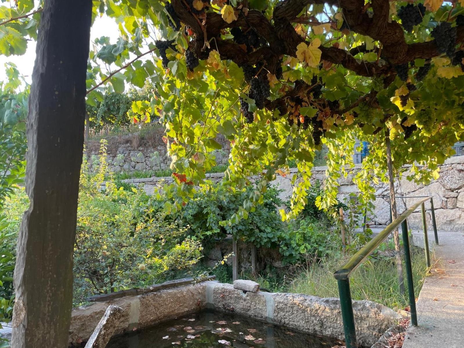 Quintinha De Pinouco Villa Resende Eksteriør billede